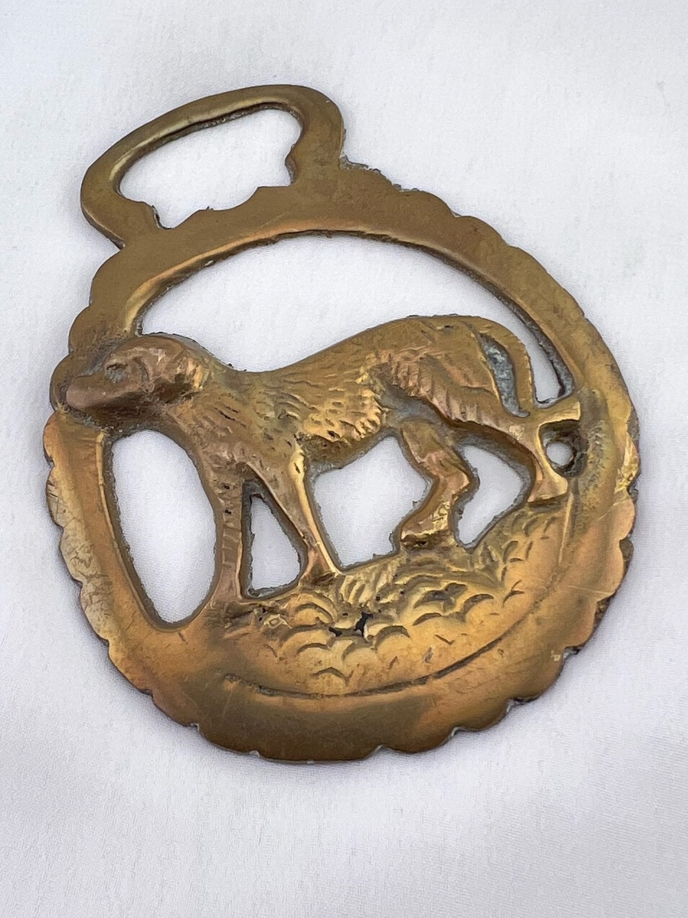 Brass Horse Medallion Antique English Hunt Hound Retrieve Pup Dog Parade Harness
